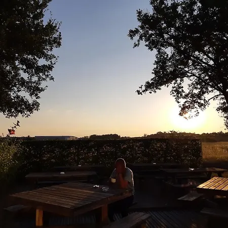 Отель B&B Hotel Montauban